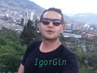 IgorGin