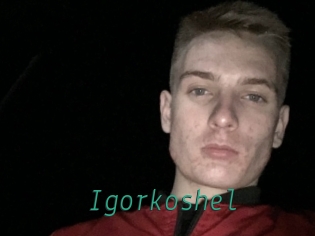 Igorkoshel