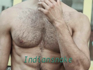 Indiansnake