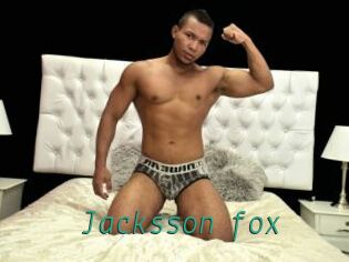 Jacksson_fox