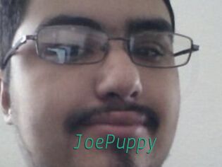 JoePuppy