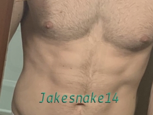 Jakesnake14