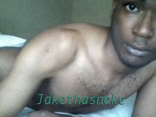 Jake_tha_snake