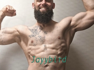 Jayybird