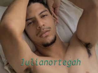 Julianortegah