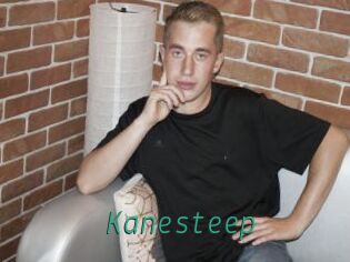 Kanesteep