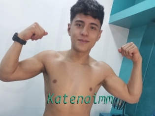 Katenaimm