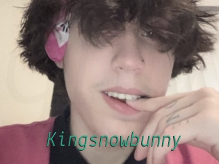 Kingsnowbunny