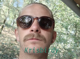 Krisbirdy