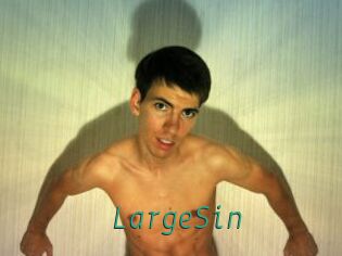 LargeSin