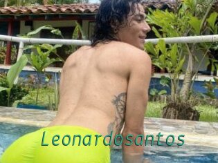 Leonardosantos