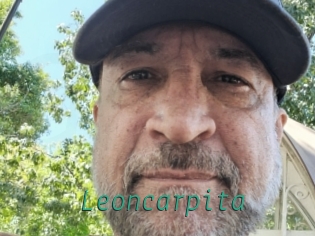 Leoncarpita