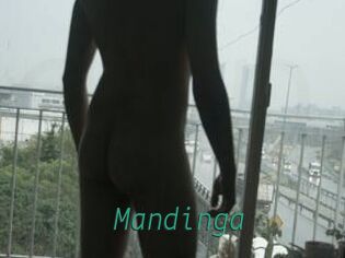 Mandinga