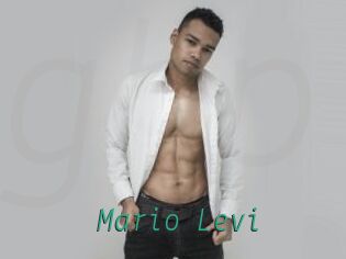 Mario_Levi