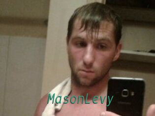 Mason_Levy