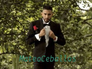 MateoCeballos