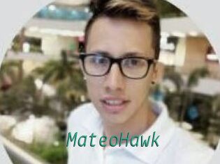 MateoHawk