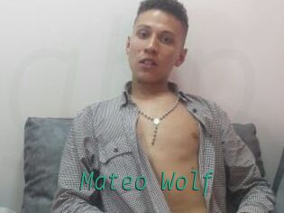 Mateo_Wolf