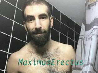 MaximusErectus