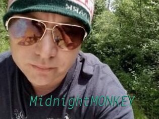 MidnightMONKEY