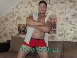 MikeTheBuLL