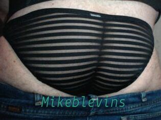 Mikeblevins