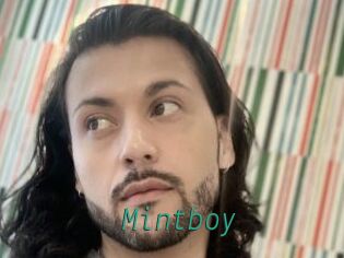 Mintboy