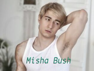 Misha_Bush