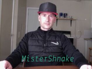 MisterShnake