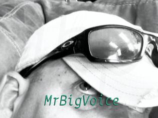 MrBigVoice