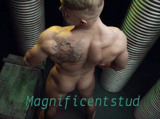 Magnificentstud