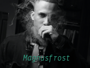 Magnusfrost