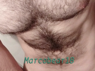 Marcobear18