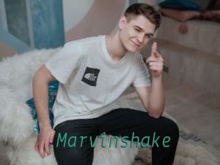 Marvinshake