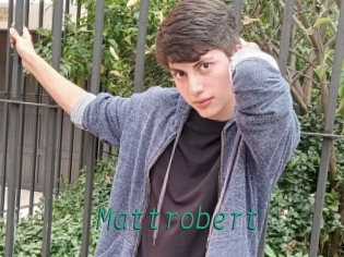 Mattrobert