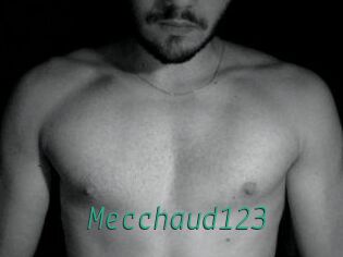 Mecchaud123