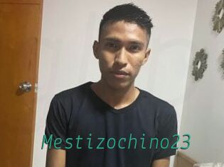 Mestizochino23