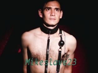 Mikeslave23