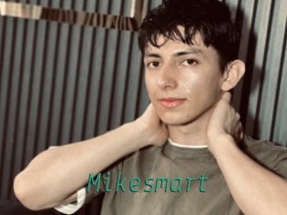 Mikesmart