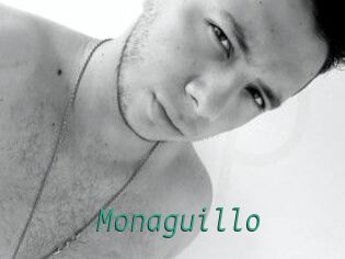 Monaguillo