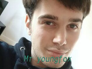 Mr_youngfox