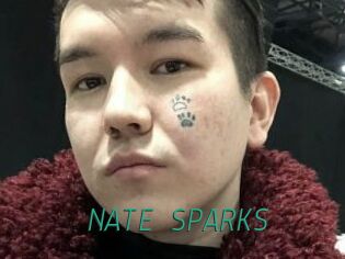 NATE_SPARKS