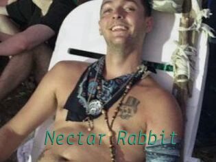 Nectar_Rabbit