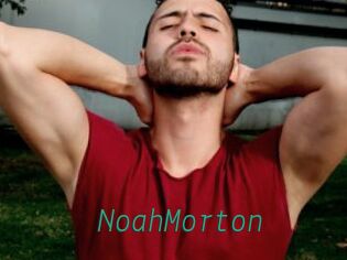 NoahMorton