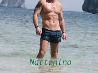 Nattenino