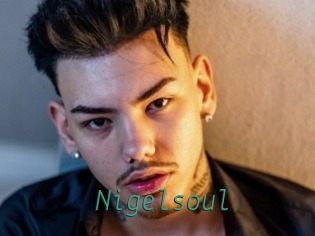 Nigelsoul