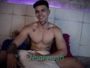 Noahmush