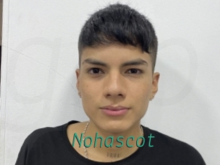 Nohascot