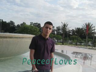 PeaceofLoves