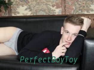 PerfectBoyToy